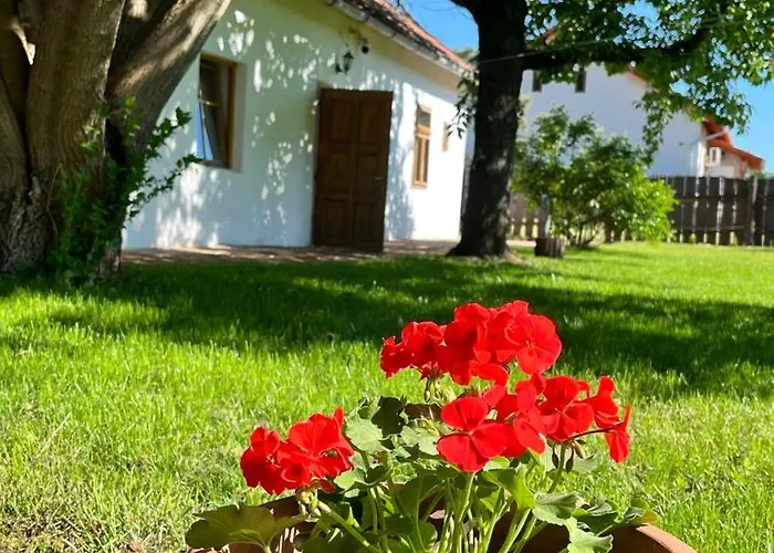 Rustic Harmony * Abádszalók